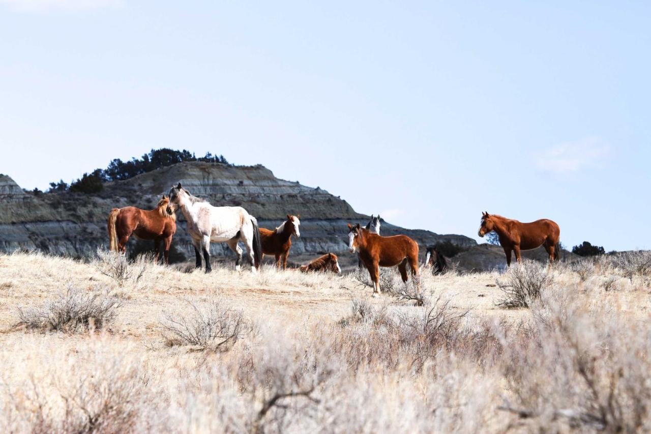 Badlands Suite Less Than 1 Mi To Teddy Roosevelt Park! Medora Bagian luar foto
