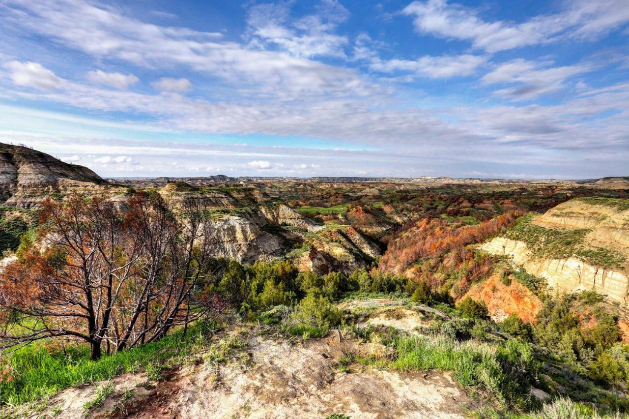 Badlands Suite Less Than 1 Mi To Teddy Roosevelt Park! Medora Bagian luar foto
