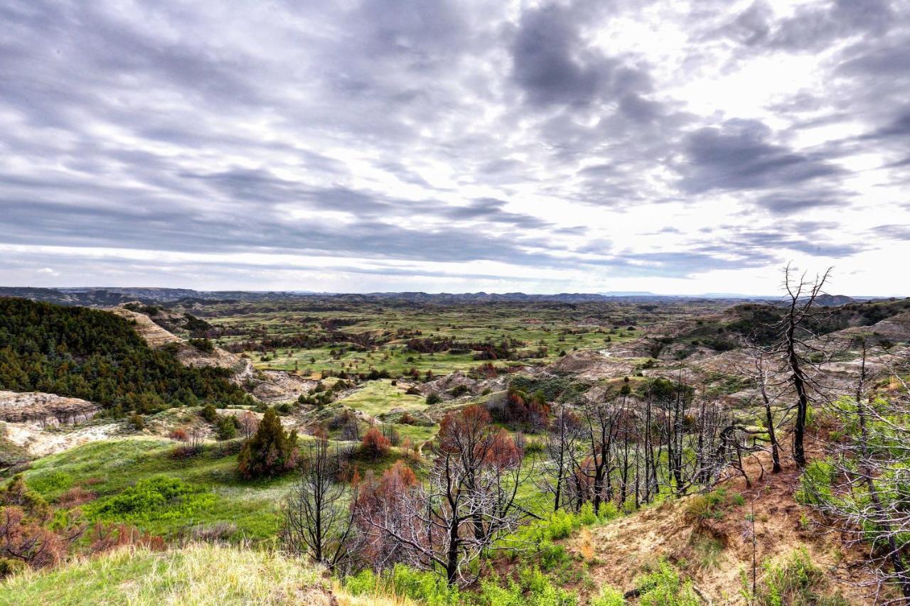 Badlands Suite Less Than 1 Mi To Teddy Roosevelt Park! Medora Bagian luar foto